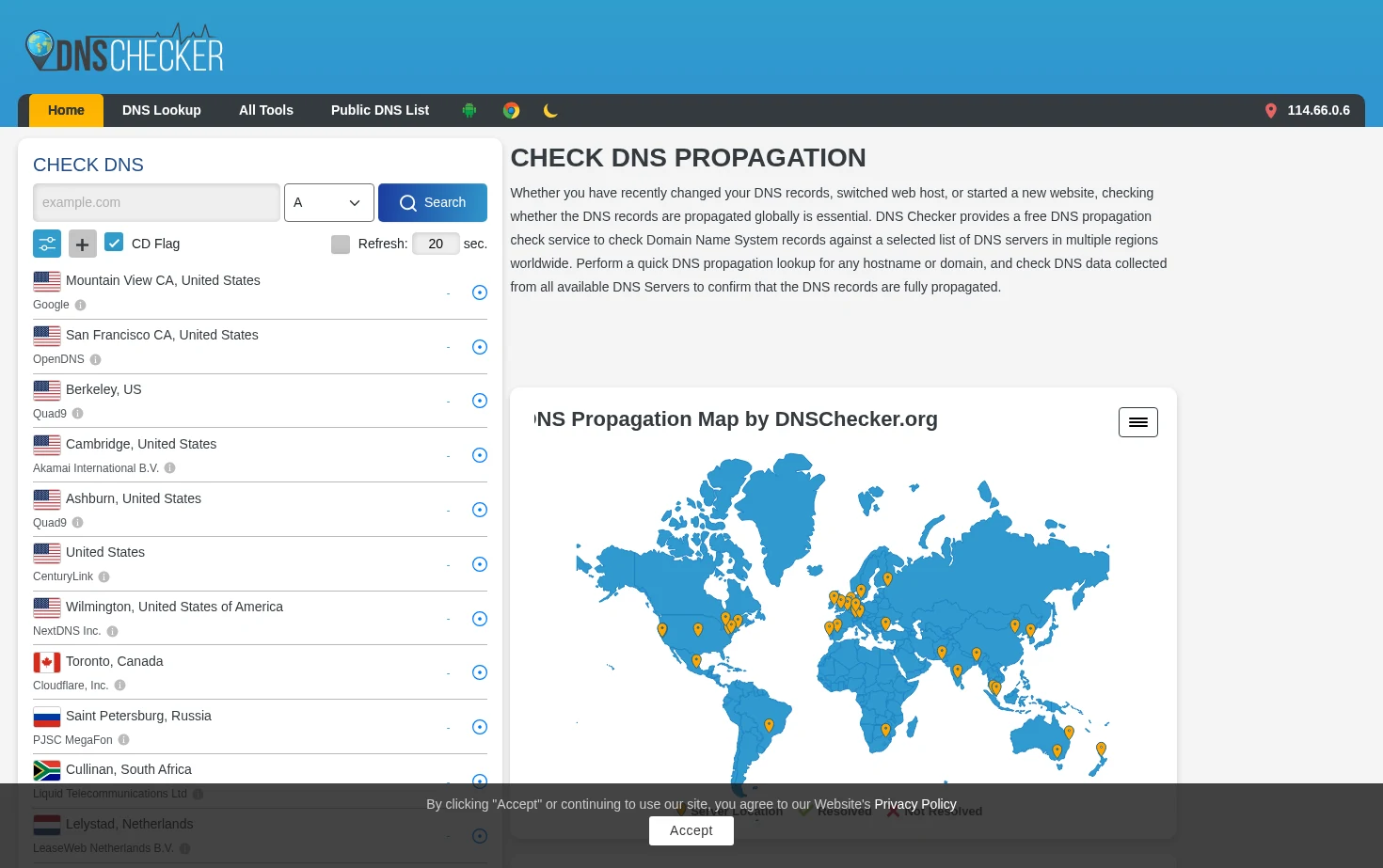 DNS Checker 页面快照